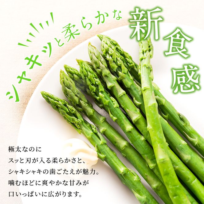 香川讃岐の毎月食べたい定期「2027年新物！さぬきのめざめ 1kg（2L～３L）」3ヶ月定期便