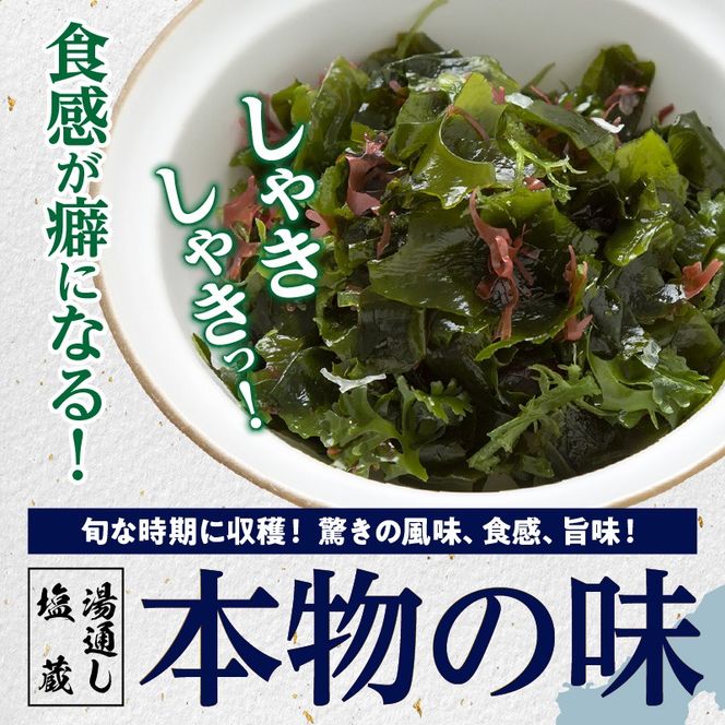 冷風乾燥が旨さの決め手！国東わかめ「乾燥糸造り」46g（23g×2袋）_0079N-1