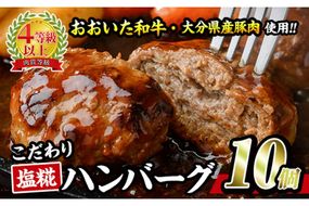 塩糀 ハンバーグ (合計1.2kg・120g×10個 ハンバーグソース×10個付) 国産 冷凍 冷凍ハンバーグ 大分県産 豚肉 牛肉 おおいた和牛 豊後牛 おかず 惣菜 大分県 佐伯市【BD221】【西日本畜産 (株)】