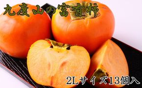 ≪厳選・産直≫九度山町の富有柿2Lサイズ13個入り