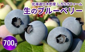 [先行受付] 北海道 仁木町産 有機栽培ブルーベリー700g サイズ混合 果物 くだもの フルーツ ブルーベリー[しろうさファーム]
