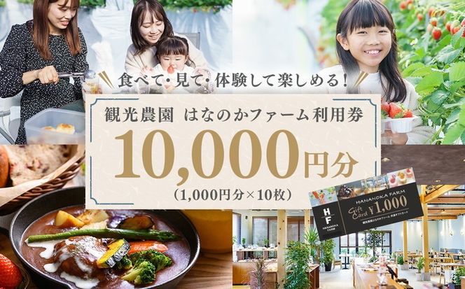 観光農園はなのかファーム利用券10枚綴り チケット 体験チケット いちご狩り カフェ お出かけ 休日 ※離島への配送不可
