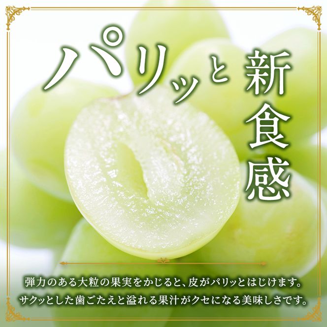 東かがわ市のちょこっと食卓応援品「訳ありシャインマスカット1房（約450g）」