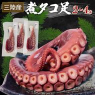 三陸産 煮タコ足 約1kg たこ タコ 蛸 octopus 刺身 おさしみ 刺し身 煮たこ たこめし 唐揚げ バーベキュー BBQ ごはん 夕飯 おかず おつまみ 晩酌 海産物 海鮮 魚介 魚介類 大船渡 三陸 岩手県 国産 [yoshidasyouten008]
