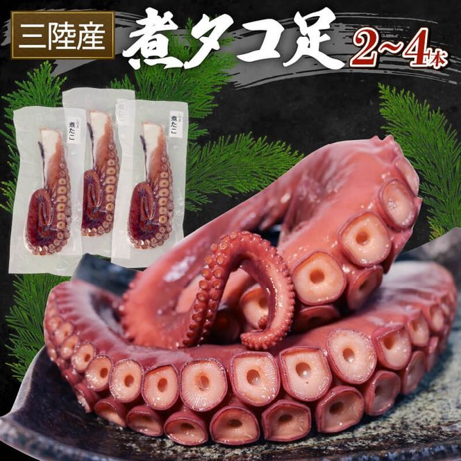 y茧DnszOY σ^R 1kg  ^R  octopus hg  hg ς ߂ g o[xL[ BBQ ͂ [  ܂ ӎ CY CN   Dn O 茧 Y [yoshidasyouten008]