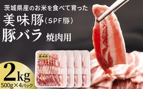 茨城県産のお米を食べて育った 常陽さん家の 美味豚 (SPF豚) 豚バラ 焼肉用 2kg (龍ヶ崎市 共通返礼品） 国産 バラ バラ肉 ロース 豚 SPF SPF豚 豚肉 焼肉 バーベキュー しゃぶしゃぶ 肉 にく 肉類 ポーク こだわり やわらか お米育ち 安心 安全 人気 お取り寄せグルメ お取り寄せ グルメ おすすめ 豚丼 照り焼 [BW003us]