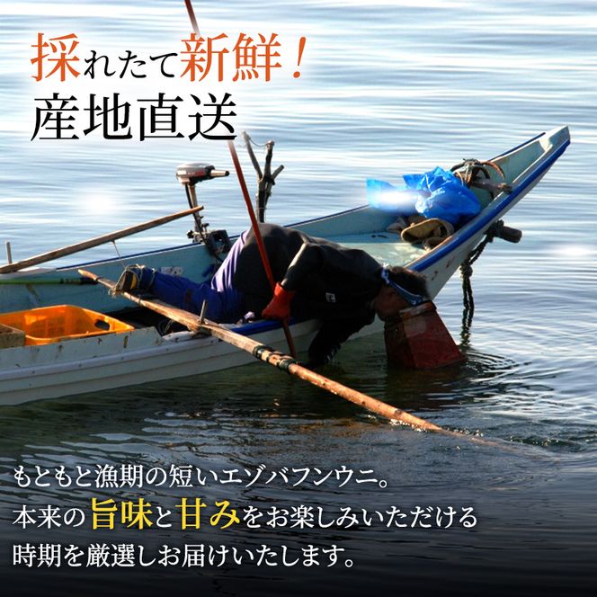 北海道 礼文島産 採れたて ミョウバン不使用 エゾバフンウニ 塩水パック 100g(50g×2個)［株式会社やまじょう］【 うに ウニ 雲丹 生うに 塩水うに バフンウニ 滅菌海水 海鮮 うに丼 濃厚 甘み 】
