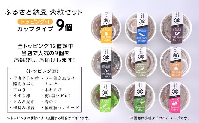 ふるさと納豆　カップタイプ9個　 大粒セット(カップ納豆9個）＜納豆BAR小金庵＞ 272183_BR34VC01