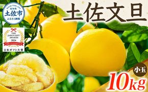【日本ギフト大賞2024受賞】先行予約 園主こだわりの土佐文旦 10キロ 小玉（L～Mサイズ） 2027年1月下旬より順次発送 文旦 10kg 家庭用 贈答用 ぶんたん ブンタン 柑橘【やの一果彩】 [BQAC018]