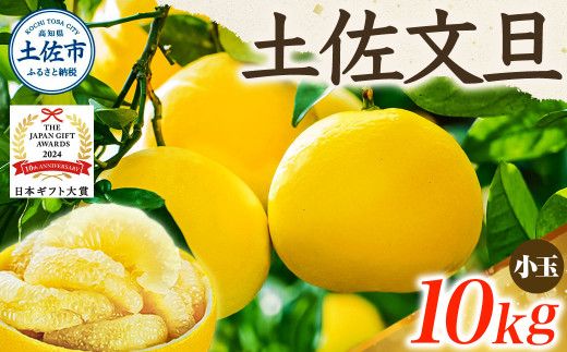 【日本ギフト大賞2024受賞】先行予約 園主こだわりの土佐文旦 10キロ 小玉（L～Mサイズ） 2027年1月下旬より順次発送 文旦 10kg 家庭用 贈答用 ぶんたん ブンタン 柑橘【やの一果彩】 [BQAC018]