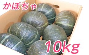 【2026年10月発送】富良野市産 かぼちゃ「ブラックのジョー」 10kg (中山農園) 野菜 南瓜