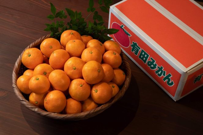 ya̎RLc쒬ẑꂽĊÂEݗLc݂ 5kg MELTCY     AK018