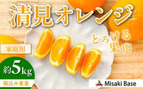 【先行受付】【家庭用】清見オレンジ 5kg ※離島への配送不可 （2026年3月中旬より順次発送） IKTAB007 
