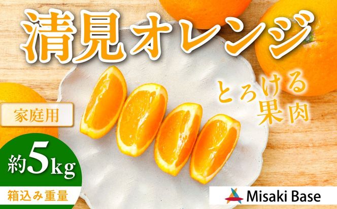 【先行受付】【家庭用】清見オレンジ 5kg ※離島への配送不可 （2026年3月中旬より順次発送） IKTAB007 