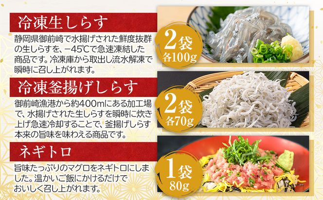日光丸水揚げの海鮮をたっぷりお届け！御前崎の海鮮詰め合わせセット（1～2人前）海鮮 詰め合わせ セット 冷凍 時短 おつまみ おかず ごはん 加工品 222232_BC037