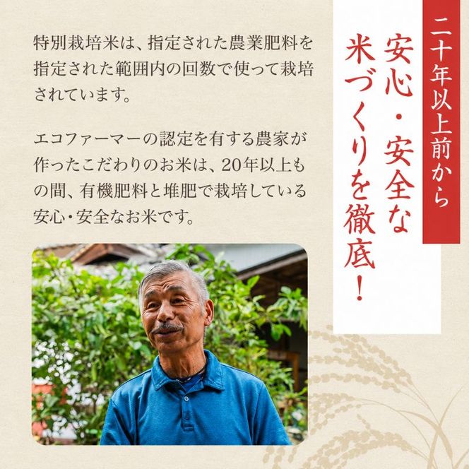令和8年産新米　香川県産コシヒカリ30kg(玄米) お米 ライス ご飯 ブランド米 銘柄米 お弁当 おにぎり 食卓 産地直送 主食 炭水化物 和食 国産 日本産 エコファーマー認定農家 