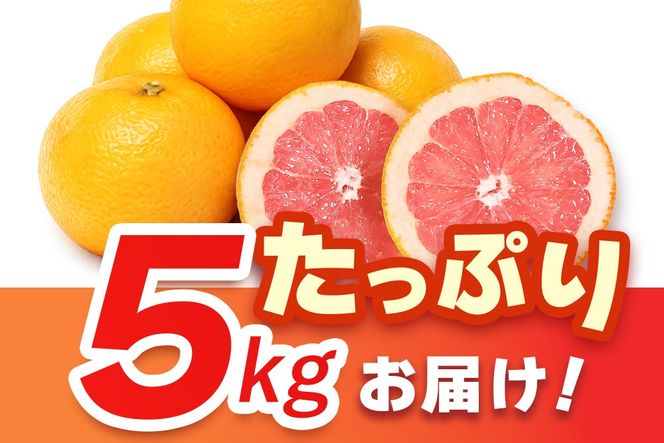 【2027年3月中旬より発送開始】さがんルビー 5kg(グレープフルーツ)【柑橘 フルーツ デザート ジューシー リフレッシュ】(H116149)