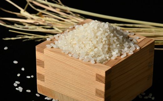 ミルキークイーン＜特別栽培米＞精米 5㎏（減農薬 有機肥料 お米 米 おこめ こめ 白米 みるきーくいーん）【002311A】