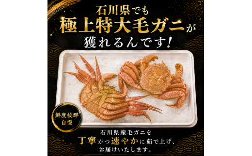 【2026年9月～10月発送】姫丸の毛ガニ・特大 茹で上げ800ｇ～900ｇ 1杯
