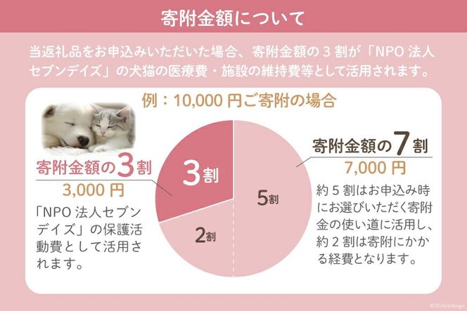 犬猫保護活動への支援 50万円分 [NPO法人セブンデイズ 福岡県 筑紫野市 21760893] 保護 動物 犬 猫 犬猫 保護犬 支援 応援 愛護