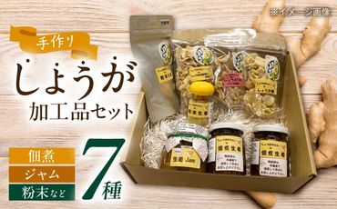 しょうがやさんの手作り人気セット 【しょうがやさん】  自家製 愛知県産[AEAO001]