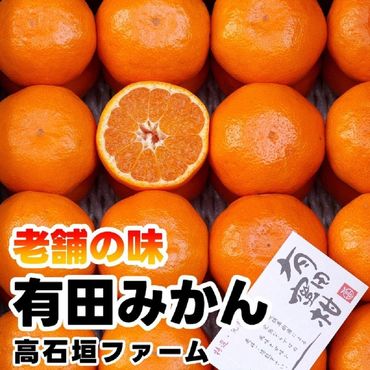 有田みかん しにせの味 約3kg S～2Lのいずれか 秀品または優品  K002