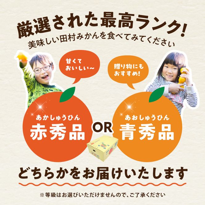 【2026年先行予約】田村みかん 秀品 約 5kg 2Sサイズ 高級ブランド 田村みかん 小玉 みかん 温州みかん フルーツ 果物 柑橘 果汁 ジューシー 赤秀品 青秀品 国産 食品 食べ物 期間限定 お取り寄せ 和歌山県 湯浅町 送料無料_DN6014