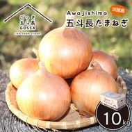 五斗長玉ねぎ 5kg　玉ねぎ