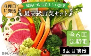 【全6回定期便】【栽培期間中農薬・化学肥料不使用】こだわり 野菜 セット （8品前後） 《糸島》【オーガニックナガミツファーム】 [AGE017] 野菜セット 野菜 やさい サラダ 詰め合わせ トマト とまと 野菜野菜セット 野菜やさい 野菜サラダ 野菜詰め合わせ 野菜トマト 野菜とまと 野菜ベビーリーフ 野菜水菜 野菜ハーブ 野菜オクラ 野菜人参 野菜にんじん 野菜ニンジン 野菜ほうれん草 野菜クレソン 野菜かぼちゃ 野菜カボチャ 野菜じゃがいも 野菜玉ねぎ