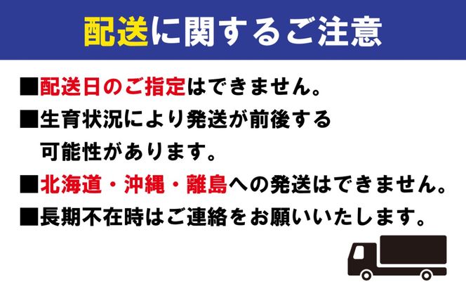 先行予約 デコポン 厳選 約3kg 不知火 しらぬい 柑橘 果物 フルーツ 果実 みかん ふるさと納税 スイーツ デザート ジュース ゼリー ジャム 人気 ふるさと納税 フト プレゼント 贈答 お取り寄せ 送料無料 香川県 丸亀市 【2027年3月中旬以降発送開始】
