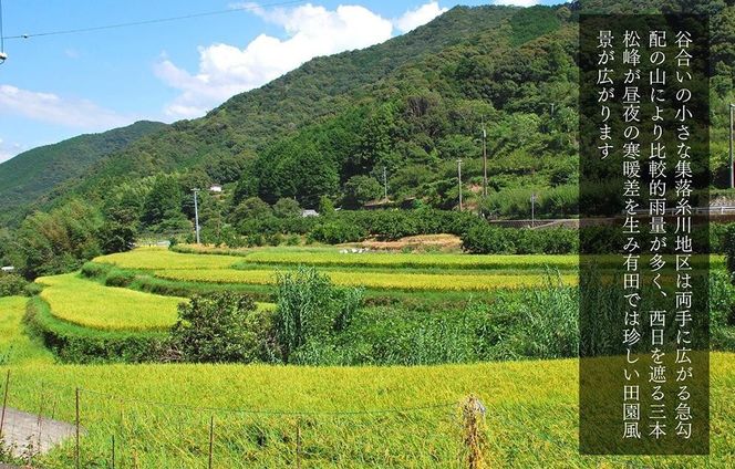 お米 5kg 思いを繋ぐ糸川のお米 結意米 【ゆいまい】和歌山県産 【みかんの会】	AX167 