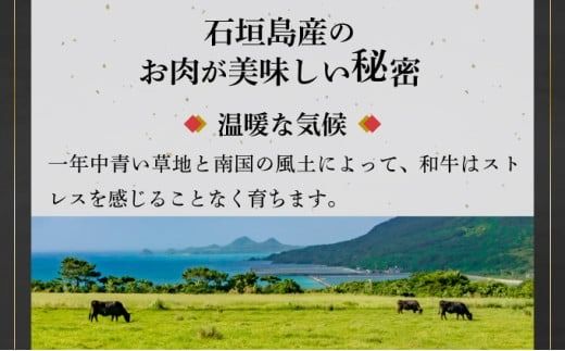 極厚!!肉汁溢れる 石垣島産《黒毛和牛100%》俵ハンバーグ 180g×4個 【先行予約：2024年12月以降配送】 |和牛 牛肉 冷凍 ハンバーグ 人気 おすすめ 国産 国産牛 小分け 八重山食肉センター YC-8