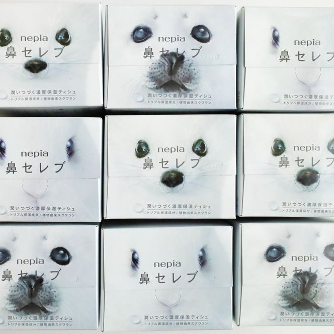 【お歳暮】ネピア 鼻セレブボックスティッシュ （10箱）