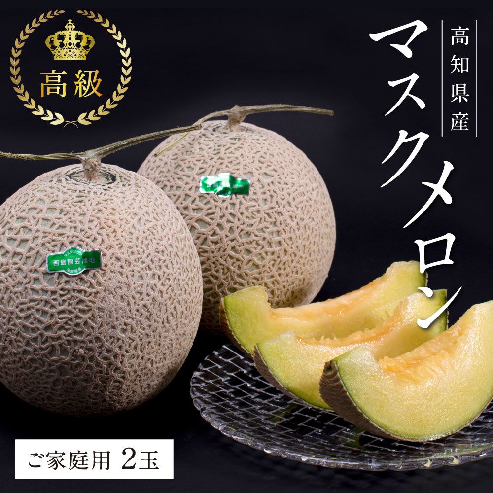 [CF-R7hbk]SKS024 緊急支援 高知県産 高級マスクメロン(ご家庭用)2玉入[南国市共通返礼品][発送期間:4月〜12月(9カ月)][1月〜3月は気候温度不安定の為出荷不可となります。]
