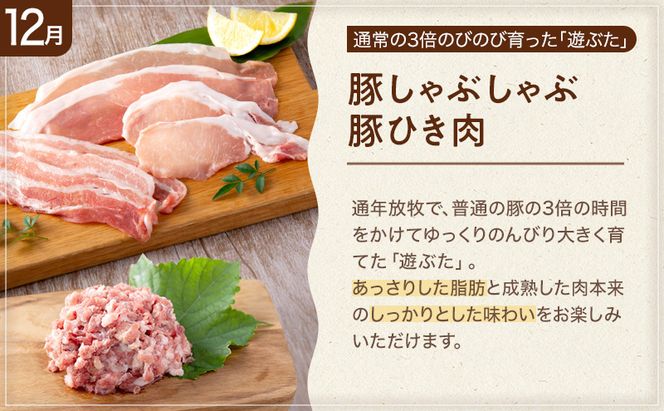 十勝幕別の定期便 お楽しみコース年6回お届け 加工食品 乳製品 チーズ 野菜 とうもろこし じゃがいも 