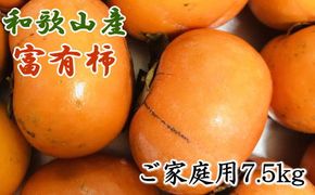 和歌山産富有柿ご家庭用約7.5kg※2026年11月上旬～2026年12月上旬頃発送 【2026年発送】【tec407A】