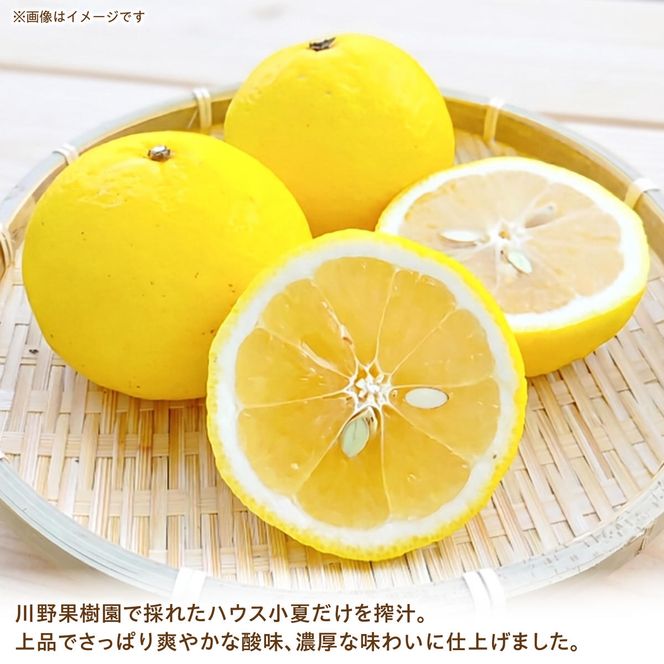 高知県 土佐市産 KONATSU JUICE KJ 100％ 500ml (1本) 小夏ジュース ジュース 果物 フルーツ フルーツジュース お取り寄せ ドリンク 高知県 土佐市【川野果樹園】 [BQCB002]