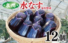 010B1061 泉州 水なす 12個【ハウス栽培 新鮮 野菜 泉佐野産 茄子 数量限定】 