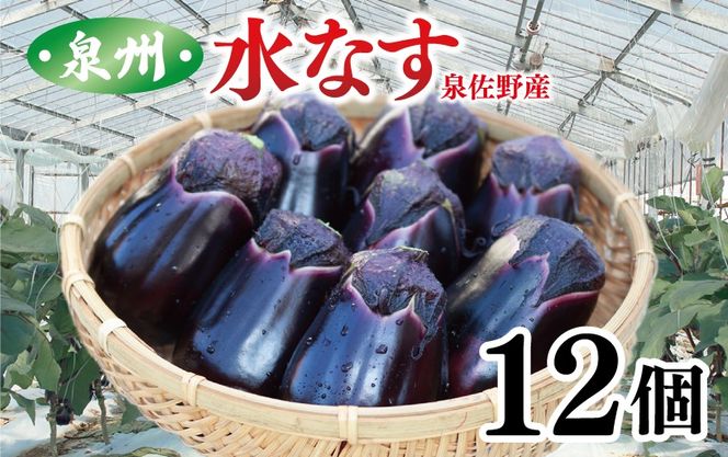 010B1061 泉州 水なす 12個【ハウス栽培 新鮮 野菜 泉佐野産 茄子 数量限定】 