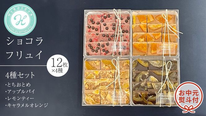 【 お中元 熨斗 付】 ショコラ フリュイ 4種セット（ とちおとめ 、 アップルパイ 、 レモンティー 、 キャラメル オレンジ ） チョコレート チョコ スイーツ デザート 高級 ギフト 贈り物 お礼 プレゼント 手土産 お菓子 [DJ62-NT]