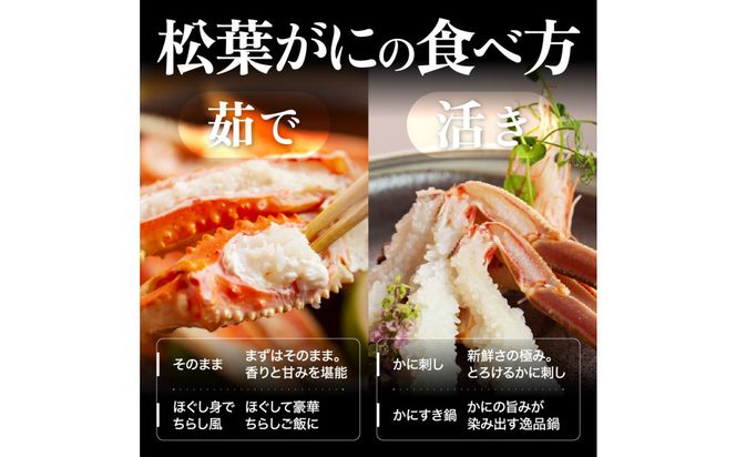 1057.【2027年1月～2027年3月発送】特撰 松葉がに（なま）【訳あり】500g超のサイズ 食べ応えあり 2杯 313726_BS035
