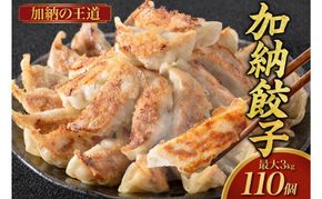 【数量限定】訳あり 餃子 冷凍生餃子 110個 生餃子 冷凍餃子 ギョーザ おかず 総菜 おつまみ つまみ ごはんのお供 中華 家庭用 お取り寄せ まとめ買い 大容量 冷凍食品 焼き餃子 冷凍 神奈川 神奈川県 茅ヶ崎市