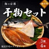 海の京都 橋立やまいち 干物セット 贈答用 B[ 一夜干し 桜干し ギフト ] 魚貝類 加工食品 鯖 サバ イカ  myz02 myz11 myz17