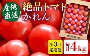 【全3回定期便】糸島産 絶品トマト かれん (4kg28玉前後) 糸島市 / シーブ 野菜 とまと[AHC066] トマト糸島市内の直産市場でもトップクラスの売り上げ！！