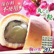【老舗の菓子屋】築上銘菓「 梅の実 」20 個《築上町》【有限会社 御菓子司 鹿の子】[ABAC020]
