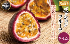 うるま市産パッションフルーツ（9〜12玉）