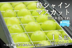 【2027年発送分 先行予約】《厳選・宝石箱》シャインマスカットひと口BOX(18粒入り・約200g)※冷蔵発送※　シャイン マスカット ぶどう 葡萄 ブドウ 房なし 粒シャイン 粒のみ 粒だけ くだもの 果物 フルーツ 山梨 やまなし 富士川町