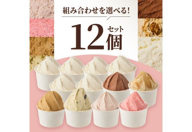 富士山まるごとジェラート  【選べるセット バラエティセット/ミルク特別セット/いちご特別セット】ジェラート 氷菓子 スイーツ 夏いちご 詰め合わせ 山梨 富士吉田