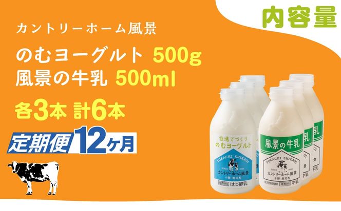 【定期12ヶ月】のむヨーグルト500g 風景の牛乳500ml 各3本 SKB110