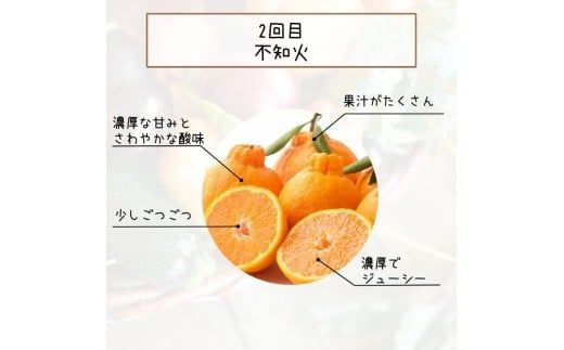 【全3回定期便】みかんの地和歌山から厳選してお届け！　人気の柑橘定期便/みかん 柑橘 果物 フルーツ 定期便 温州 ミカン 不知火 でこぽん せとか オレンジ 【tkb606】